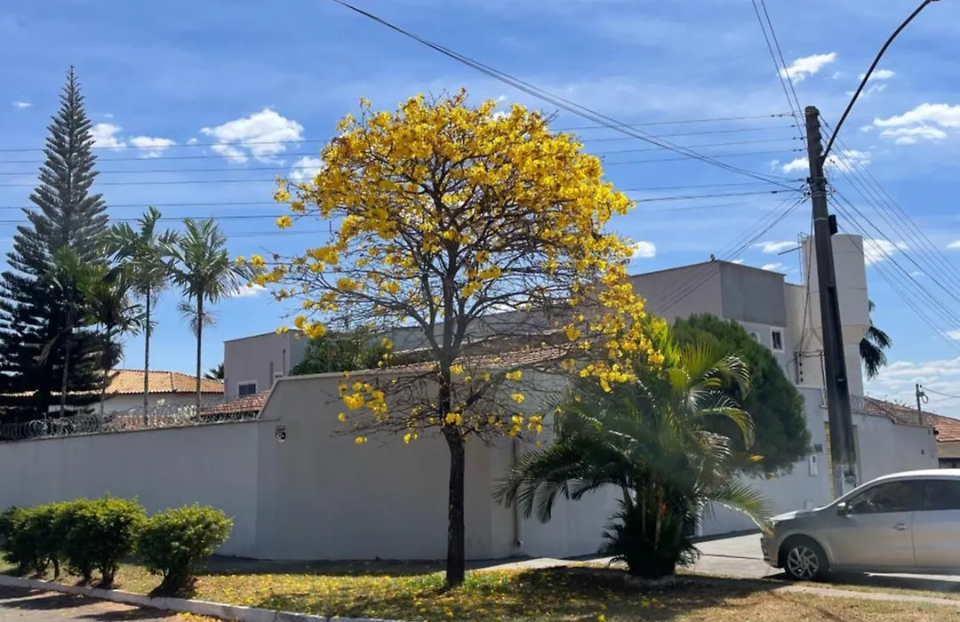 Pousada Flor Dos Ipês-1